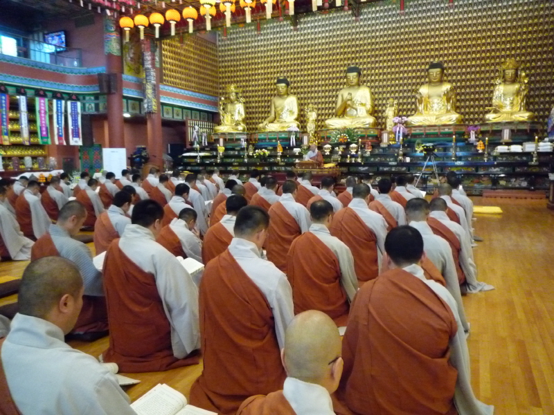 45ֳ  (ȸ 201311 29) 