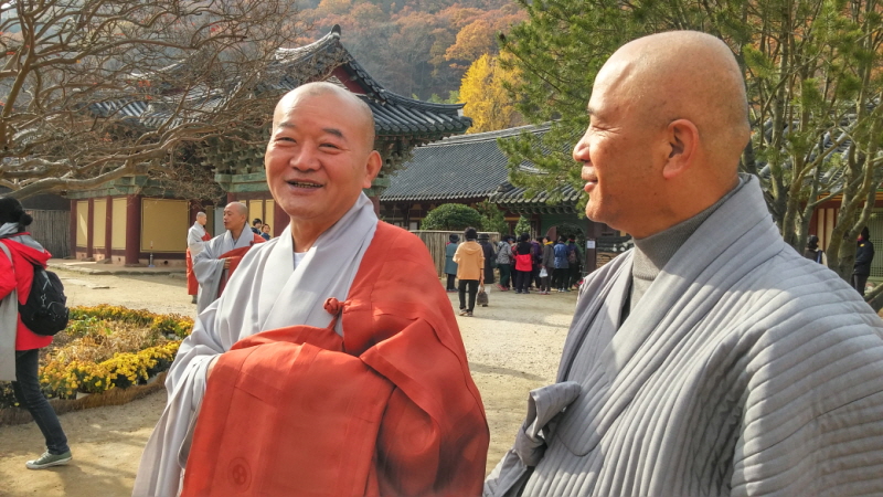 10ȸ ۱ ݰ긲ȸ(2014.11.11)