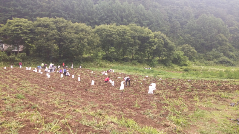 õ óԸ ڼȮ(2015 7 6)