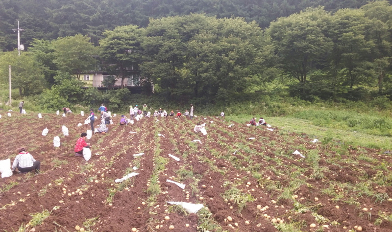 õ óԸ ڼȮ(2015 7 6)