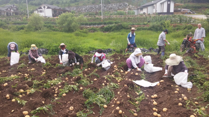 õ óԸ ڼȮ(2015 7 6)