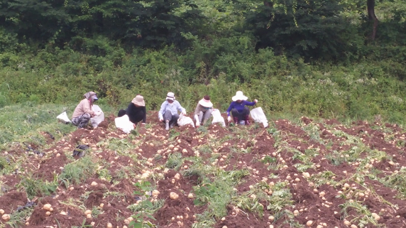 õ óԸ ڼȮ(2015 7 6)