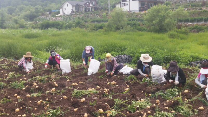 õ óԸ ڼȮ(2015 7 6)