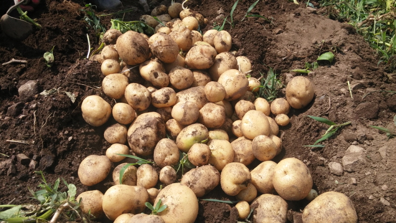 õ óԸ ڼȮ(2015 7 6)