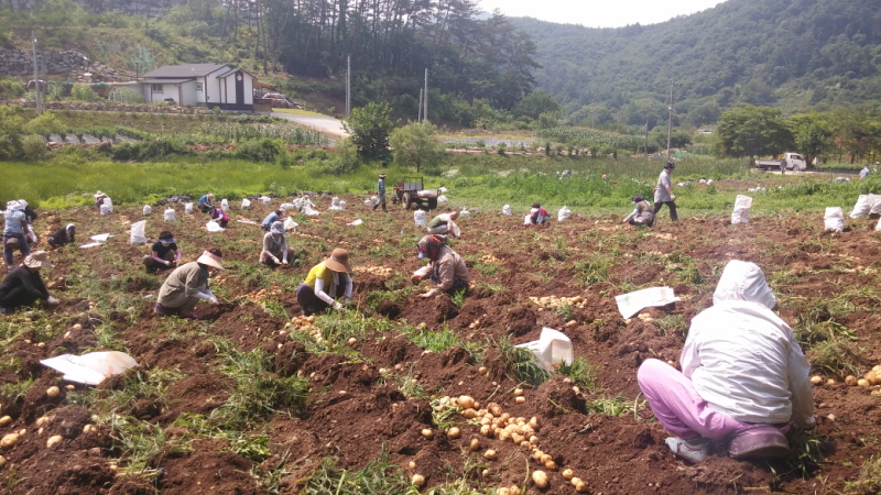 õ óԸ ڼȮ(2015 7 6)