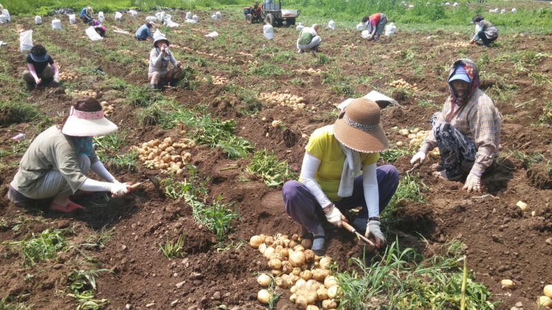 õ óԸ ڼȮ(2015 7 6)