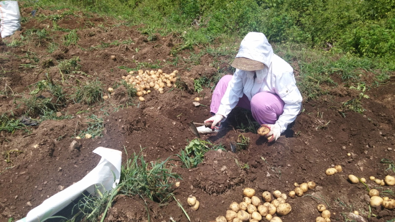 õ óԸ ڼȮ(2015 7 6)