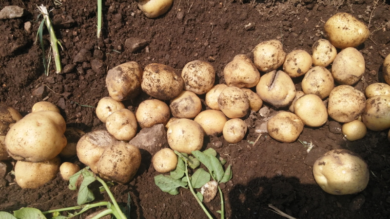 õ óԸ ڼȮ(2015 7 6)