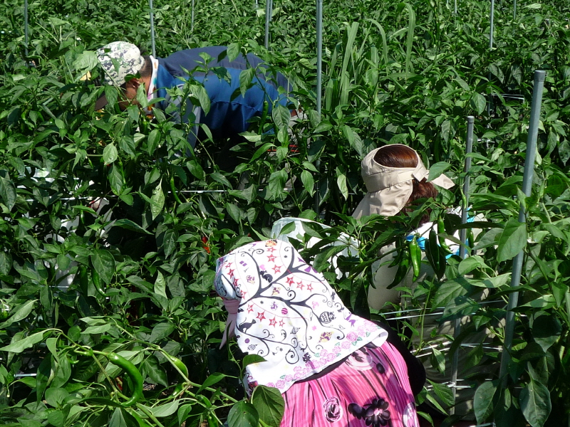 õ ó   Ȯ (2015.8.17~18)