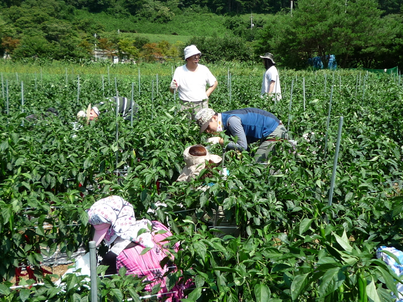 õ ó   Ȯ (2015.8.17~18)