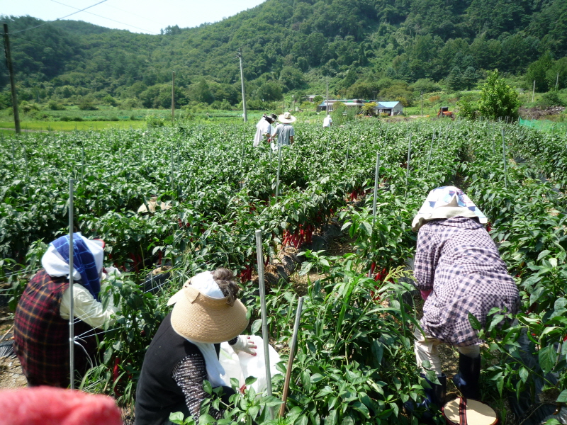 õ ó   Ȯ (2015.8.17~18)