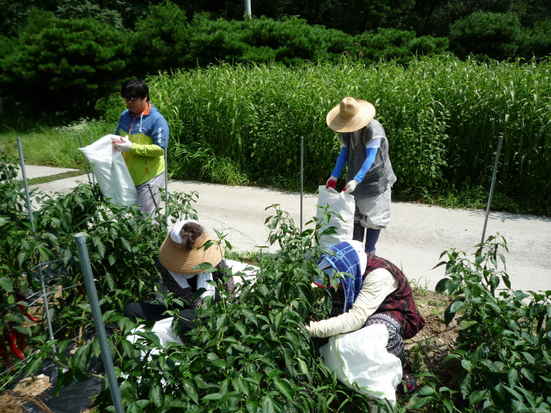 õ ó   Ȯ (2015.8.17~18)