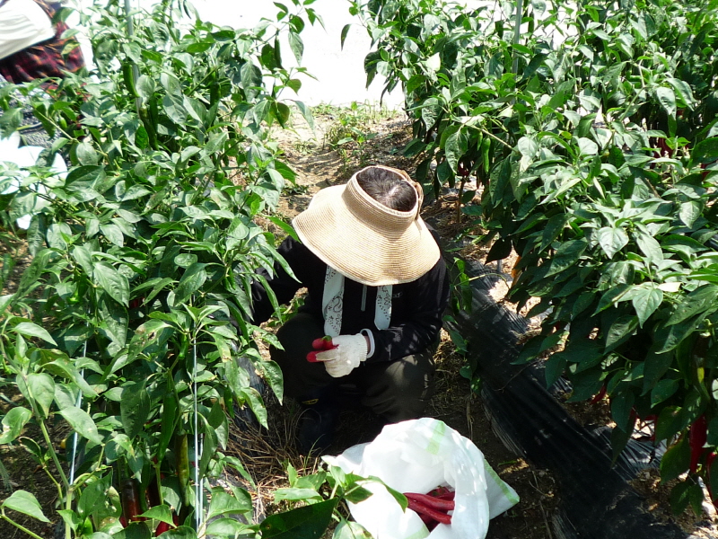 õ ó   Ȯ (2015.8.17~18)