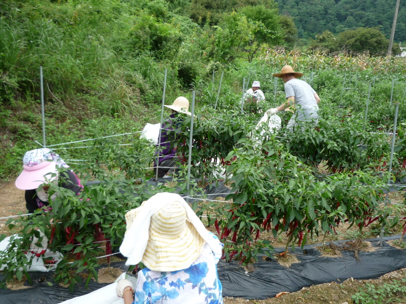 õ ó   Ȯ (2015.8.17~18)