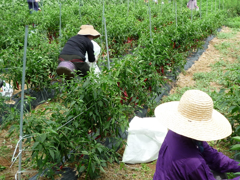 õ ó   Ȯ (2015.8.17~18)