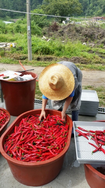 õ ó   Ȯ (2015.8.17~18)