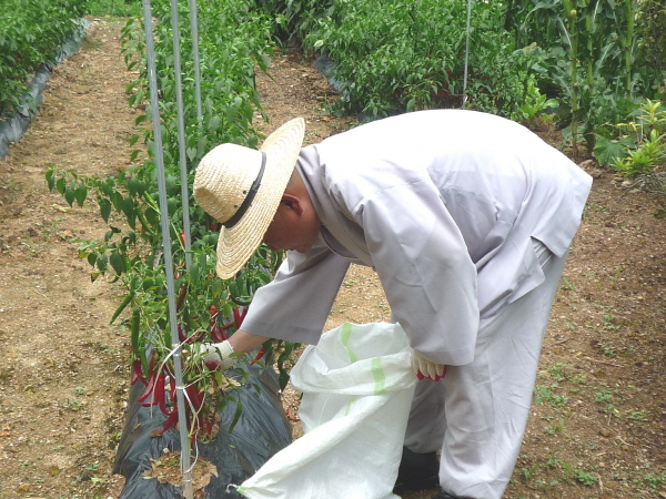 õ ó   Ȯ (2015.8.17~18)