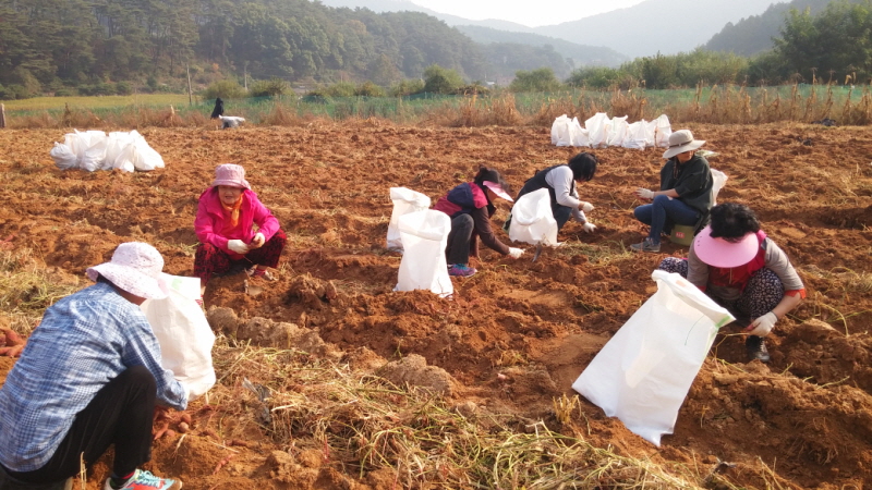 õ óԸ  Ȯ(2015.10.8)