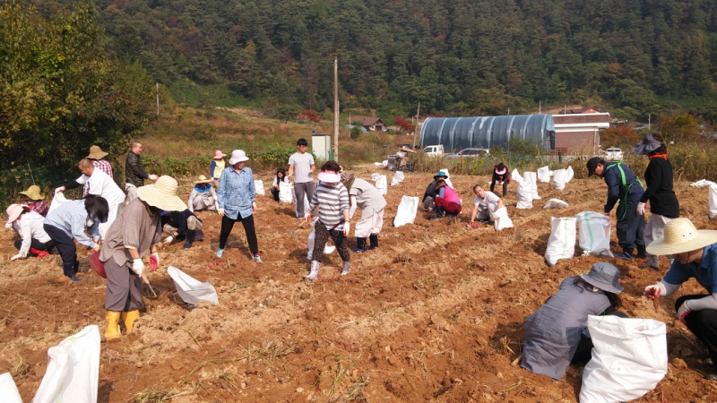 õ óԸ  Ȯ(2015.10.8)