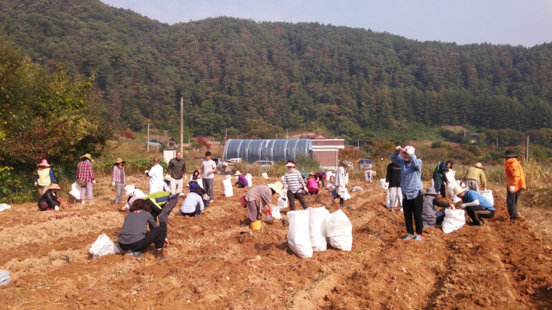 õ óԸ  Ȯ(2015.10.8)