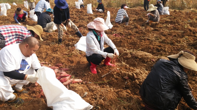 õ óԸ  Ȯ(2015.10.8)