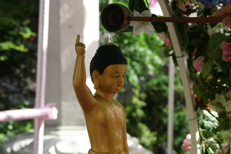 ұ 2560(2016) óԿų