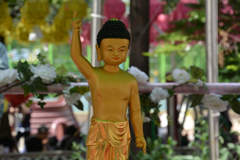 ұ 2561(2017)  óԿų(53)