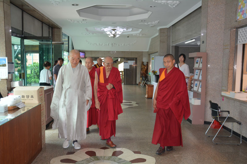 ƼƮ ü 102  Ƽ(ַ)  湮