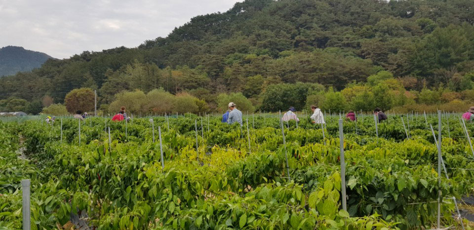 õ ұ  ߼Ȯ(2017. 10.16)