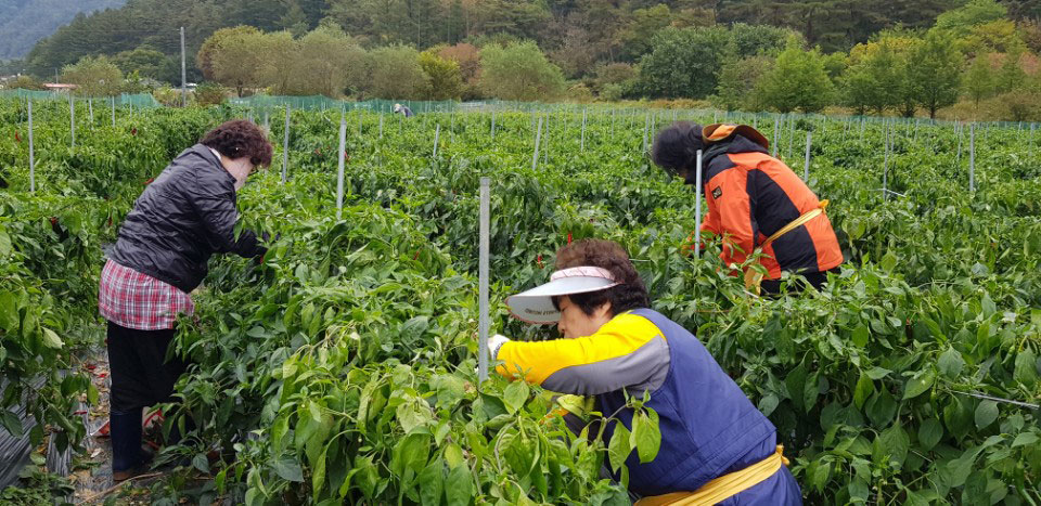 õ ұ  ߼Ȯ(2017. 10.16)