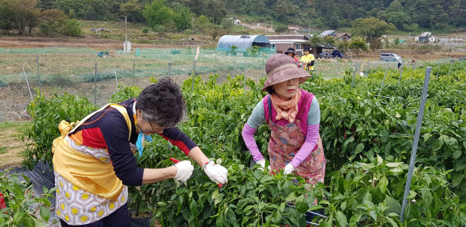 õ ұ  ߼Ȯ(2017. 10.16)