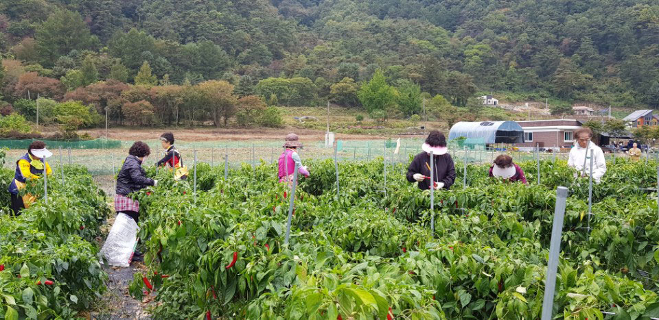 õ ұ  ߼Ȯ(2017. 10.16)