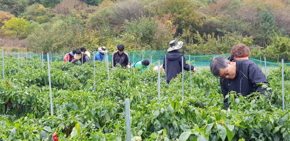 õ ұ  ߼Ȯ(2017. 10.16)