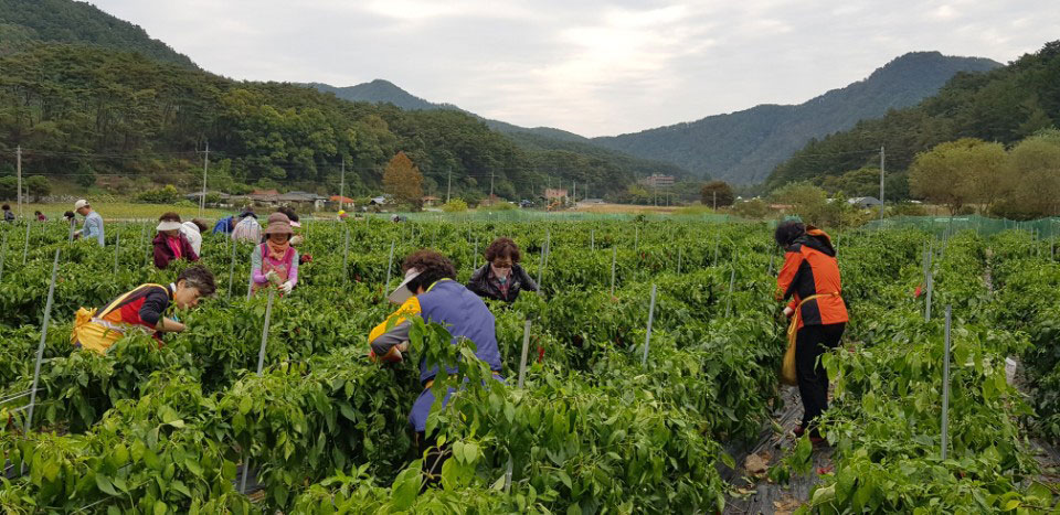 õ ұ  ߼Ȯ(2017. 10.16)