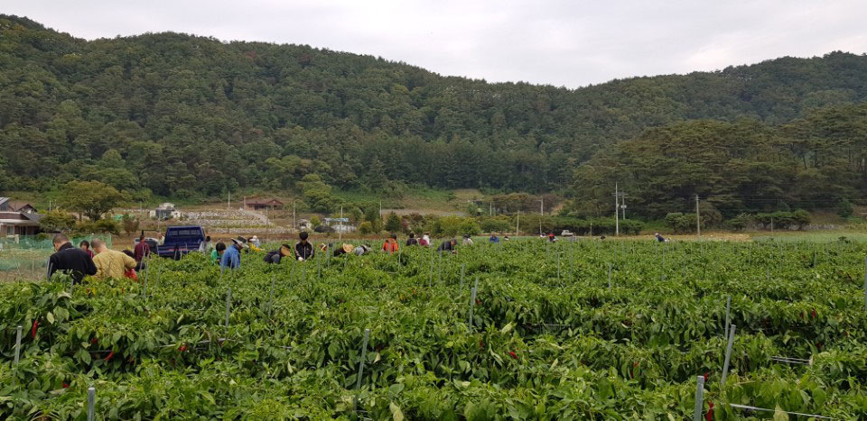 õ ұ  ߼Ȯ(2017. 10.16)