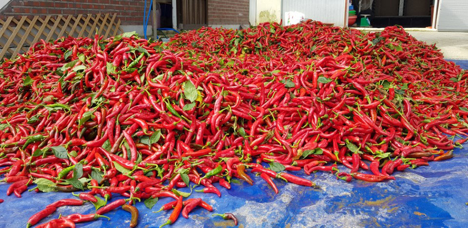 õ ұ  ߼Ȯ(2017. 10.16)