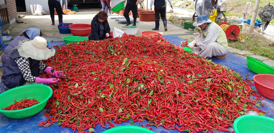 õ ұ  ߼Ȯ(2017. 10.16)