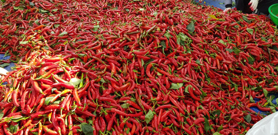 õ ұ  ߼Ȯ(2017. 10.16)