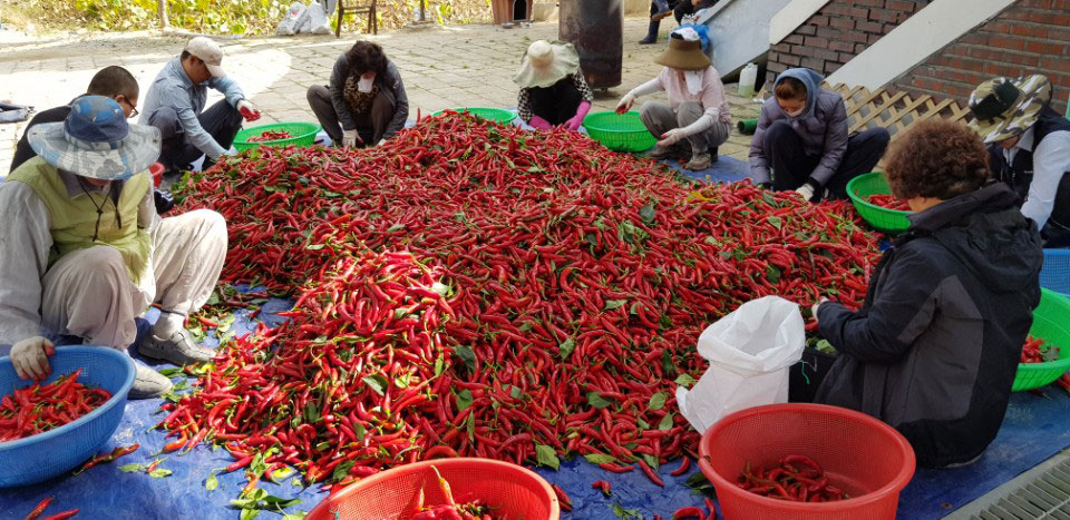 õ ұ  ߼Ȯ(2017. 10.16)