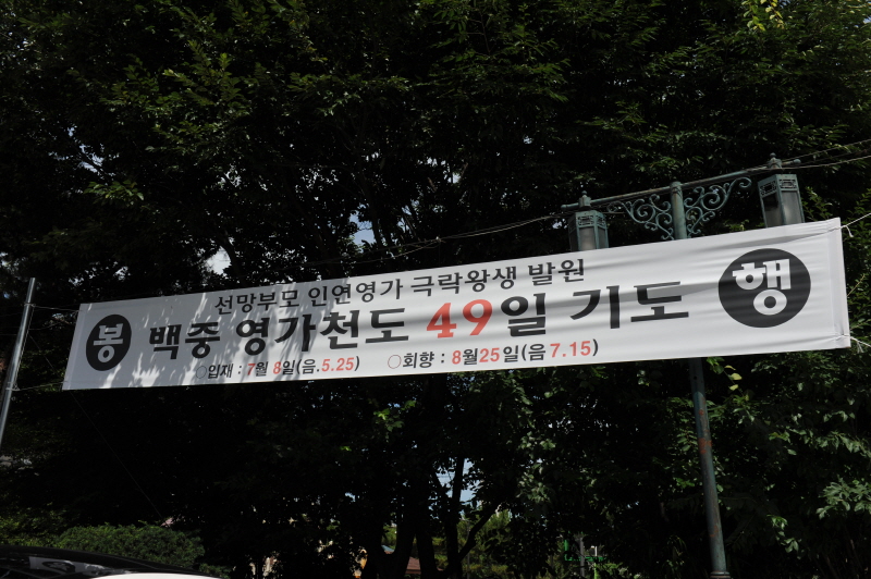 ߿ õ 49 ⵵(2018 78)