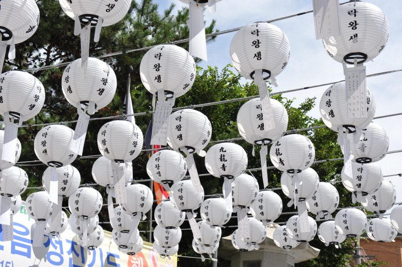 ߿ õ 49 ⵵(2018 78)