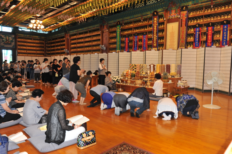 ߿ õ 49 ⵵(2018 78)