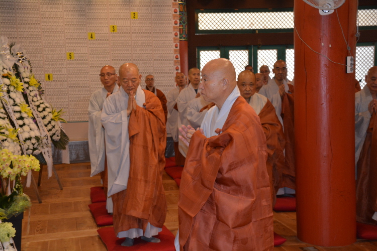 ȫ 41ֱ ߸ٷ(2019 729)