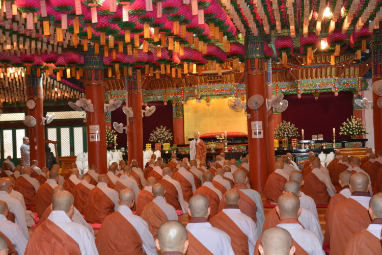 ȫ 41ֱ ߸ٷ(2019 729)