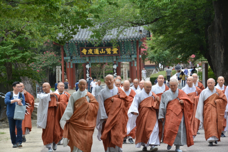 ȫ 41ֱ ߸ٷ(2019 729)