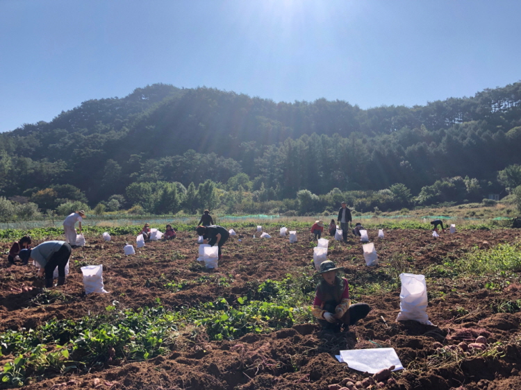 õ ұ  Ȯ(2019 1011)