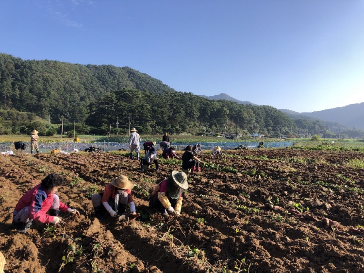 õ ұ  Ȯ(2019 1011)