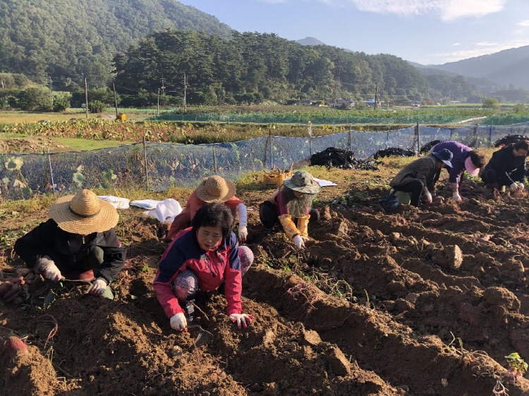 õ ұ  Ȯ(2019 1011)