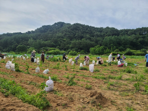 õ ұ ڼȮ(2020. 7. 3)