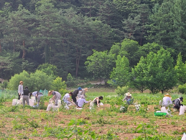 õ ұ ڼȮ(2020. 7. 3)